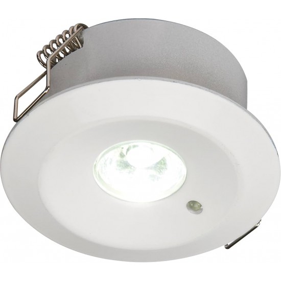 3W LED EMERGENCY  DOWNLIGHT