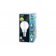 FILAMENT GOLFBALL LAMP SBC