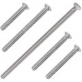 Socket Screws