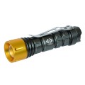 Torches