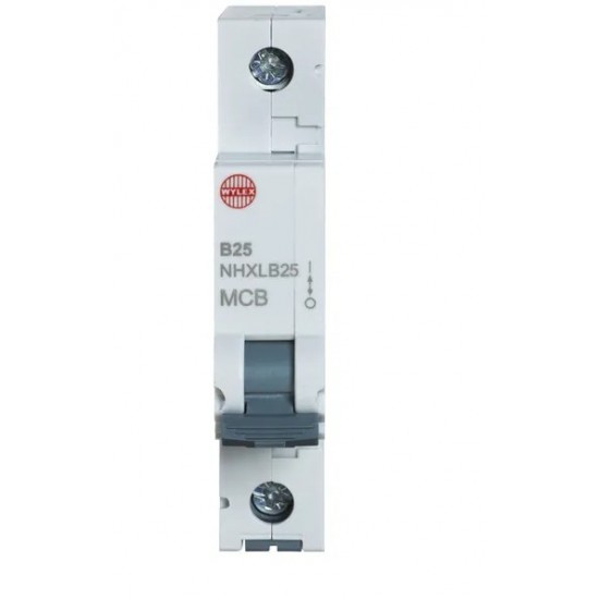 25A TYPE B SP MCB