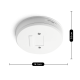 5A RELAY BASE