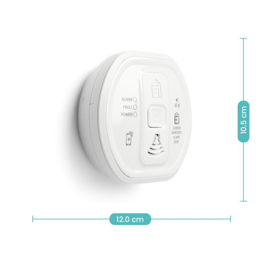 CO DETECTOR 10 YEAR