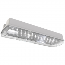 LED EMERGENCY BULKHEAD