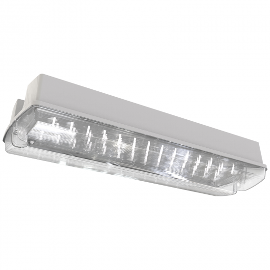LED EMERGENCY BULKHEAD