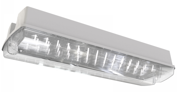 LED EMERGENCY BULKHEAD