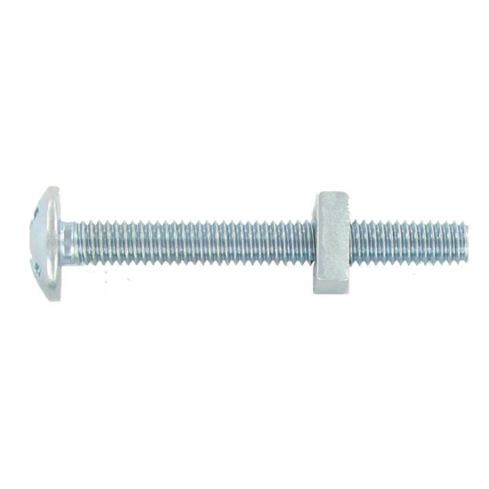 M6X20 ROOFING NUT & BOLT