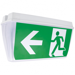 LED CEILING EMERGENCY LIGHT