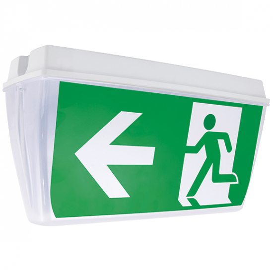 LED CEILING EMERGENCY LIGHT