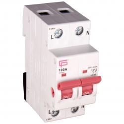 100A DP MAIN SWITCH