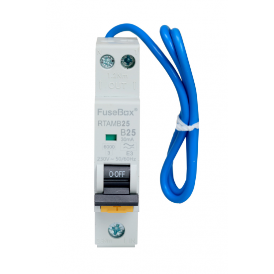 25A B TYPE A MINI RCBO