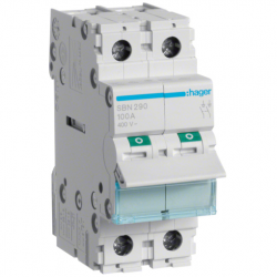 100A 2P MAIN SWITCH