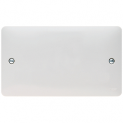 2G BLANK PLATE WHITE