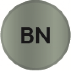 BRUSH NICKEL BEZEL X50 BODY
