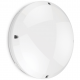 BLANCA LED BULKHEAD