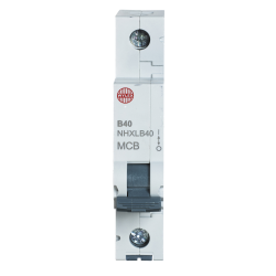 40A TYPE B SP MCB